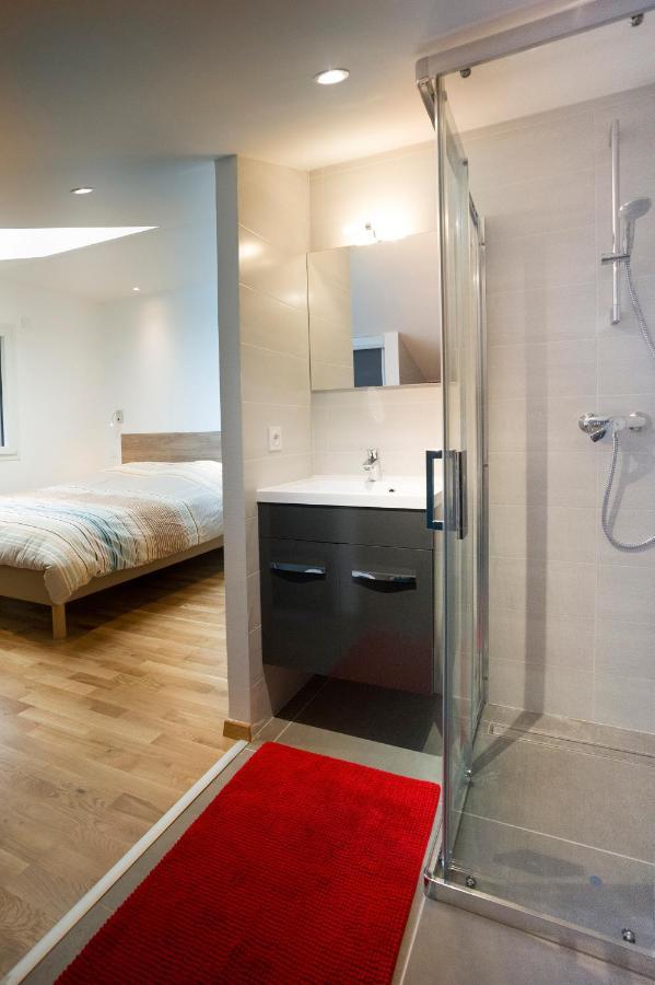 Appartement Mont Blanc - Vue Lac Sévrier Εξωτερικό φωτογραφία